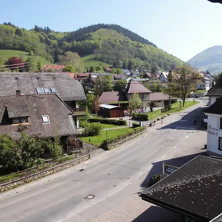 Ferienwohnung Link Appartamento Münstertal